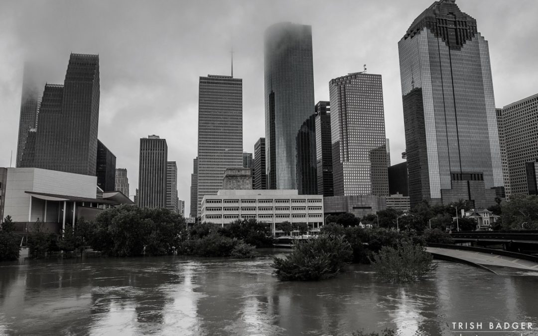 United Way Recovery Funds for Hurricanes Harvey and Irma