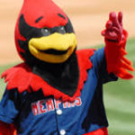 Rocky The Redbird